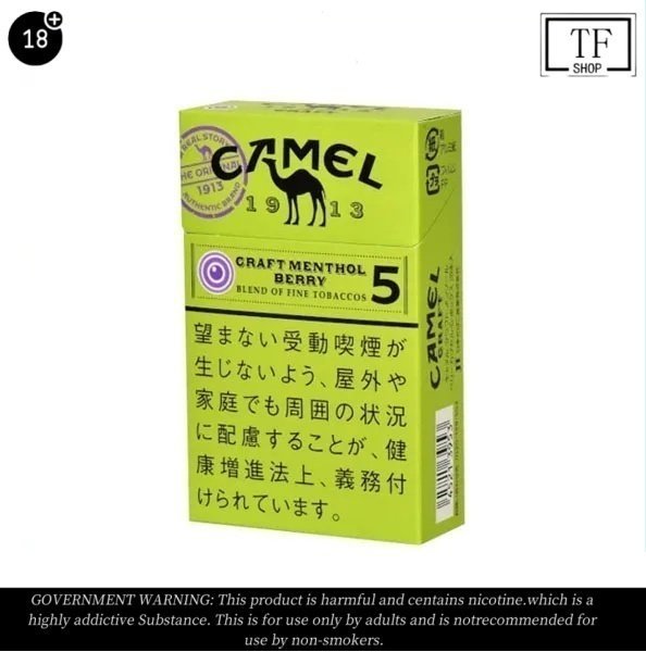 Camel Menthol Cigarettes 10 Pack Price In Australia